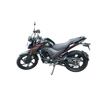 Moto Panther - Modelo LF250-10E